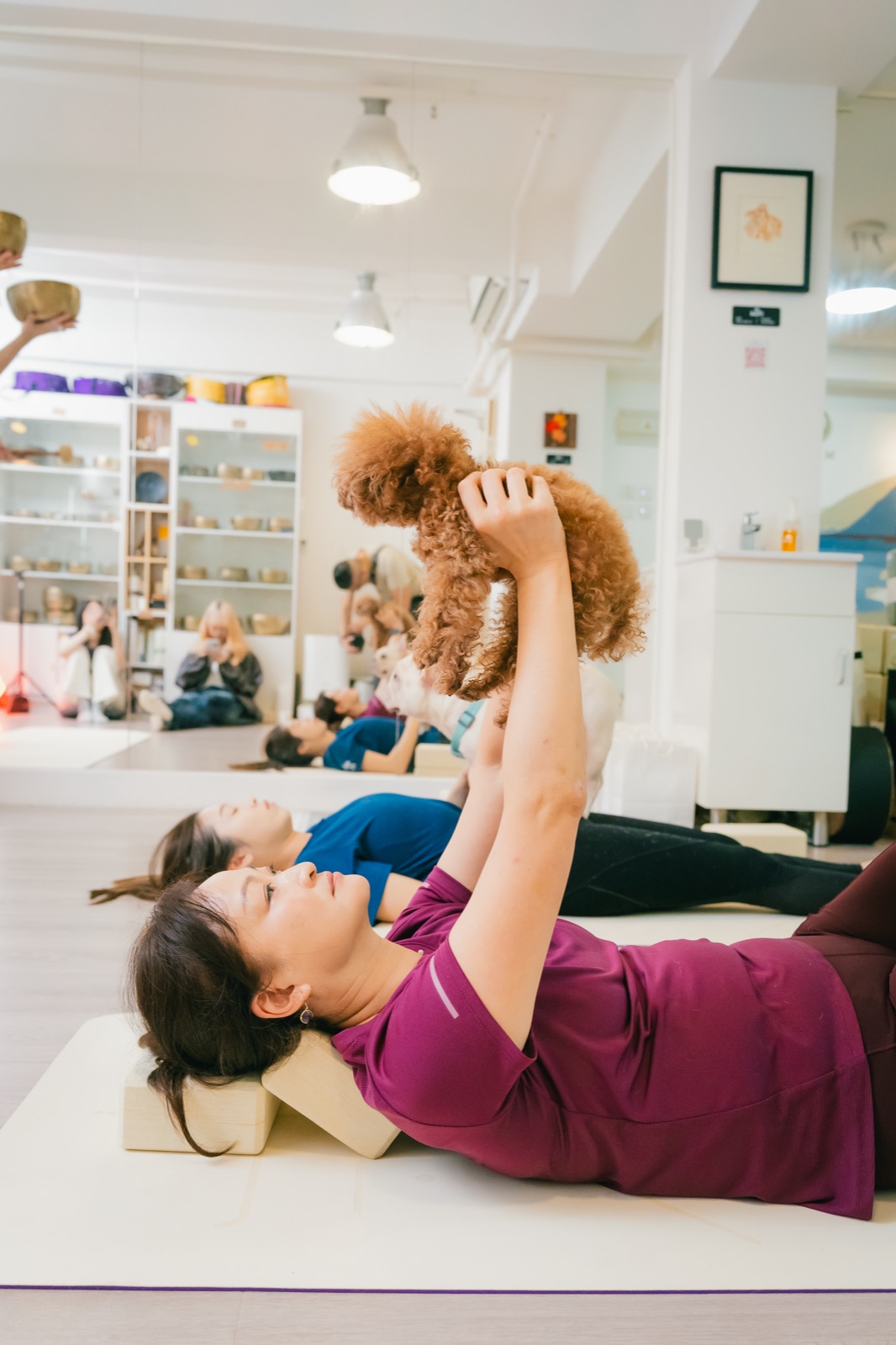 Pet Yoga photo 2